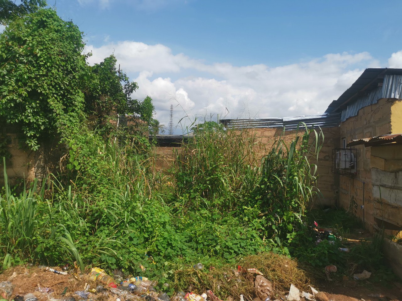 Land-with-3-Buildings-for-sale44
