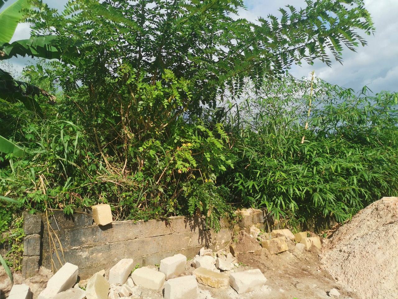 land-in-ekosodin