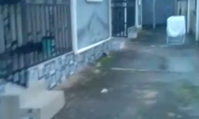 0abb0fd3a5c82874f5cc6f593ca19243