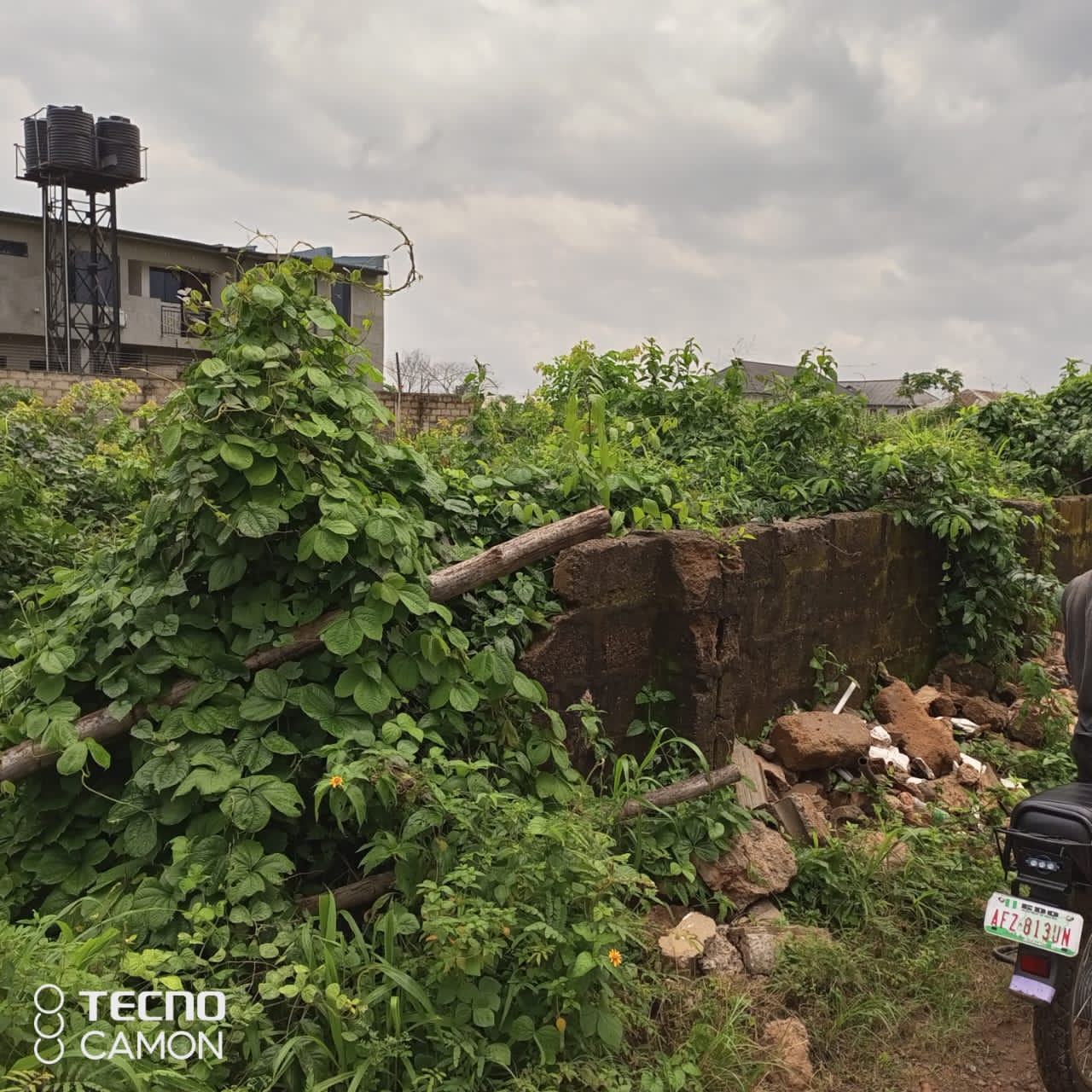 a8e3dcdb804778c7df6782f74a197779