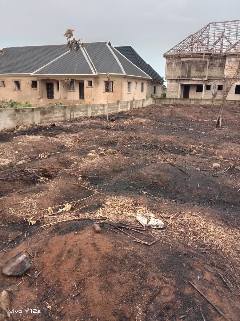 ca519f790a7e8d555e3642769884994c