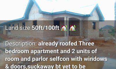 Screenshot_20250406-023552