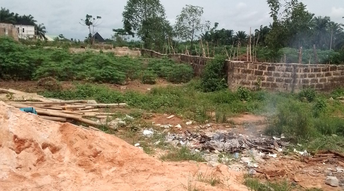 land-1