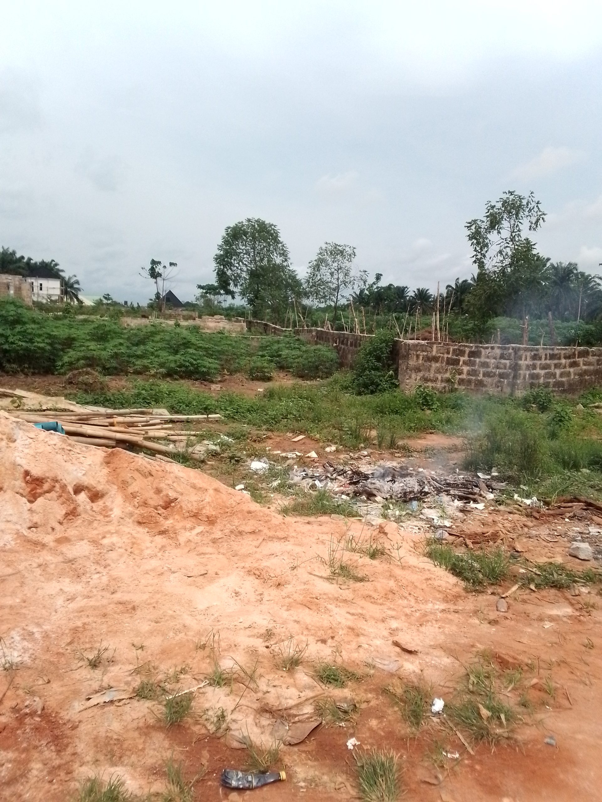 land-1