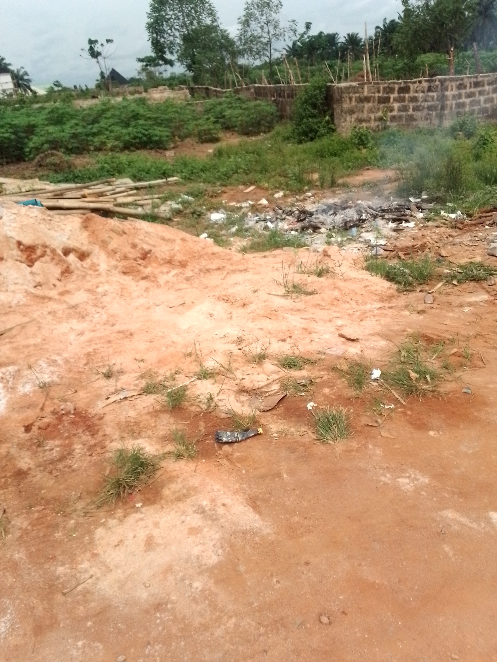 land-2