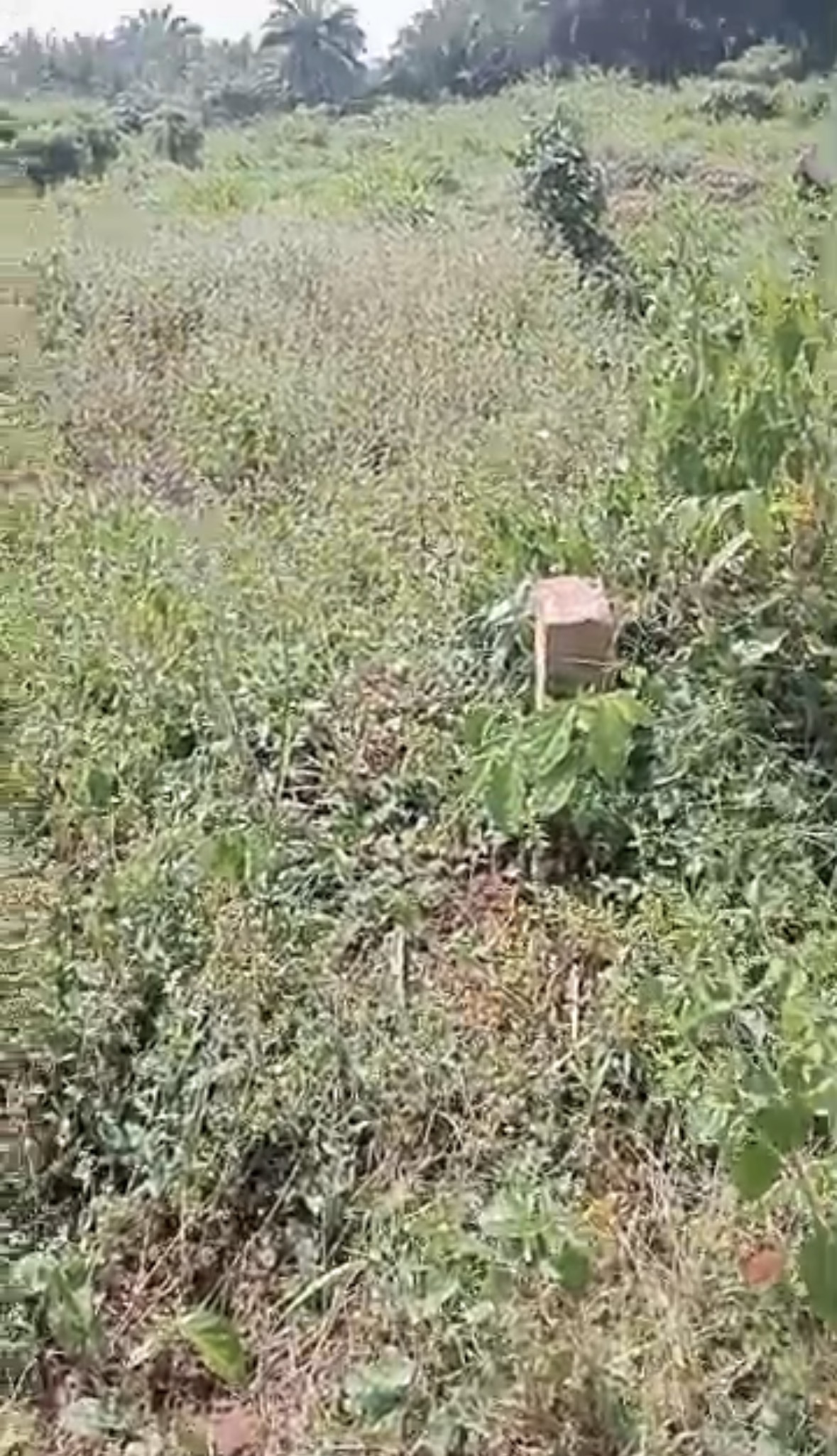 property for sale in Edo State